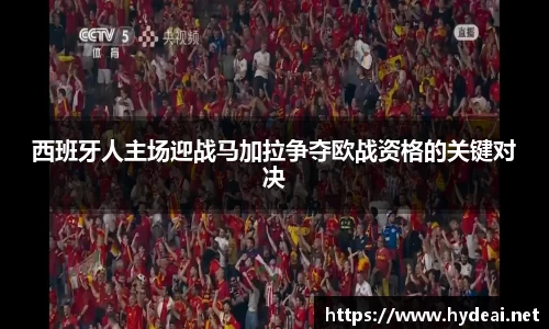 39153.k1体育十年品牌