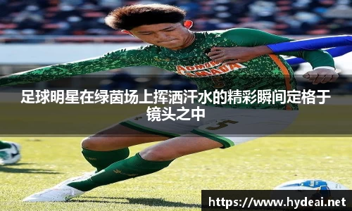 39153.k1体育十年品牌