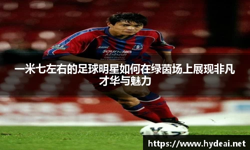 39153.k1体育十年品牌