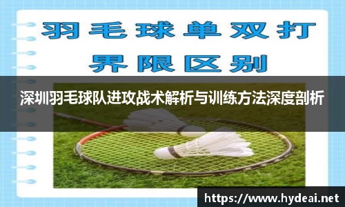深圳羽毛球队进攻战术解析与训练方法深度剖析